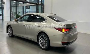 Xe Lexus ES 300h 2023