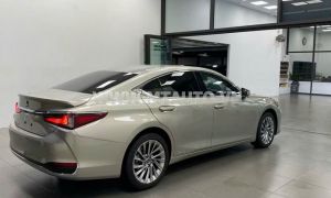 Xe Lexus ES 300h 2023