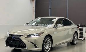 Xe Lexus ES 300h 2023