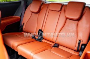 Xe Kia Carnival Signature 2.2D 2023