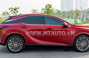 Xe Lexus RX 350 Luxury 2023