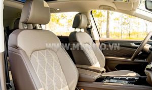 Xe Volkswagen Viloran Luxury 2023