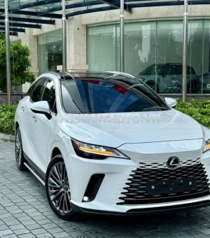 Xe Lexus RX 350 Luxury 2023