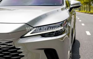 Xe Lexus RX 350 Luxury 2023