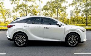 Xe Lexus RX 350 Premium 2025