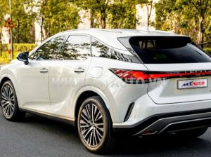 Xe Lexus RX 350 Premium 2025