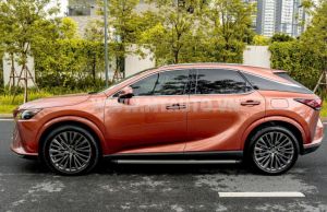 Xe Lexus RX 350 Luxury 2023
