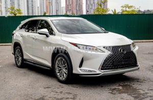 Xe Lexus RX 350L 2020