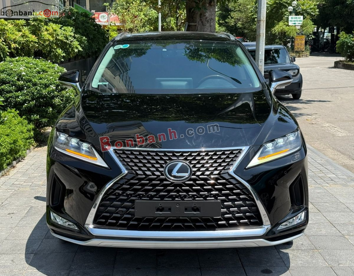 Lexus RX 300 2020