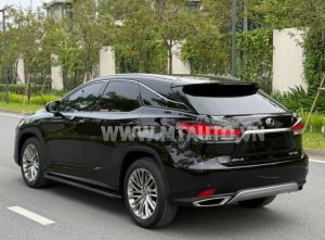 Xe Lexus RX 300 2020