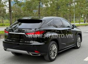 Xe Lexus RX 300 2020