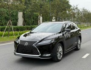 Xe Lexus RX 300 2020