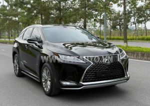 Xe Lexus RX 300 2020