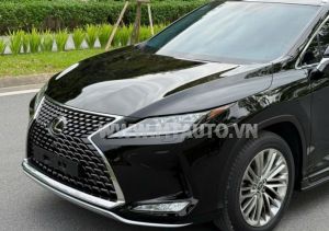 Xe Lexus RX 300 2020