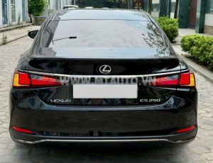 Xe Lexus ES 250 F Sport 2022
