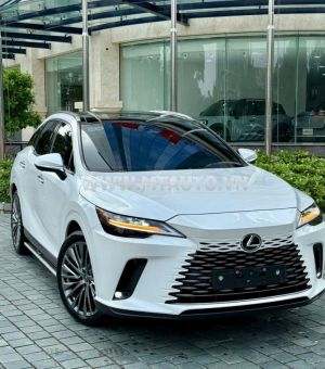 Xe Lexus RX 350 Luxury 2023