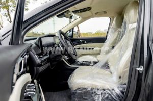 Xe Kia Carnival Royal 2.2D 2022