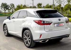 Xe Lexus RX 350 2019