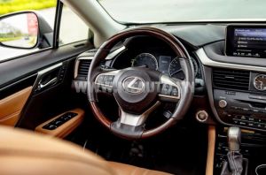 Xe Lexus RX 350 2019