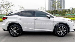 Xe Lexus RX 350 2019