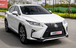 Xe Lexus RX 350 2019