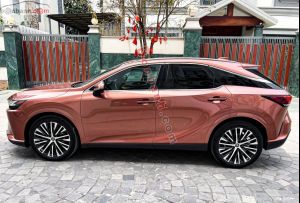 Xe Lexus RX 350 Premium 2023