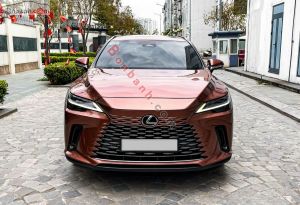 Xe Lexus RX 350 Premium 2023