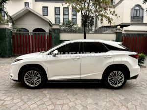 Xe Lexus RX 350 2020