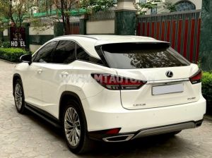 Xe Lexus RX 350 2020