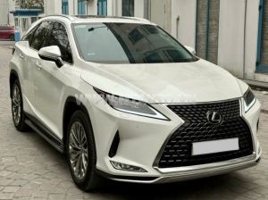 Xe Lexus RX 350 2020
