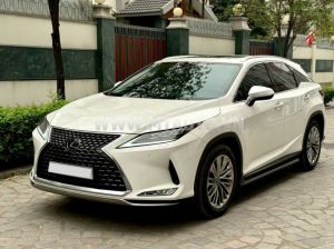 Xe Lexus RX 350 2020
