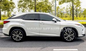 Xe Lexus RX 350 2019