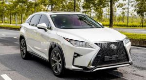 Xe Lexus RX 350 2019