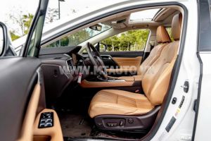 Xe Lexus RX 350 2019