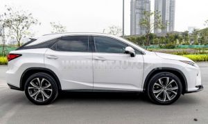 Xe Lexus RX 350 2019