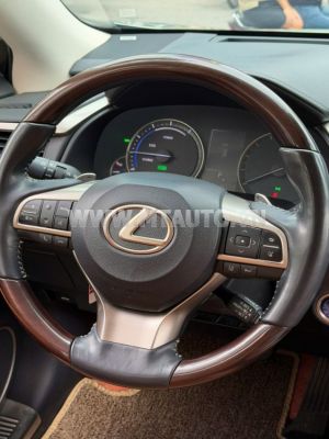 Xe Lexus RX 450h 2021