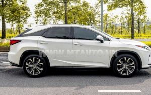 Xe Lexus RX 350 2019