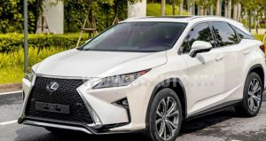 Xe Lexus RX 350 2019