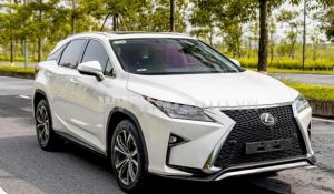 Xe Lexus RX 350 2019