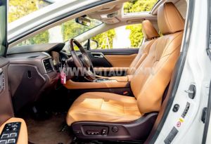 Xe Lexus RX 350 2019