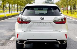 Xe Lexus RX 350 2019