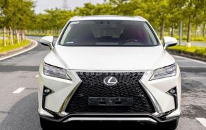 Xe Lexus RX 350 2019