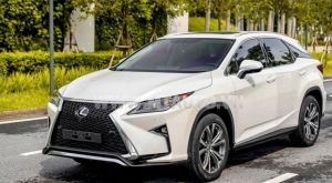 Xe Lexus RX 350 2019