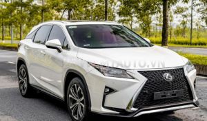 Xe Lexus RX 350 2019