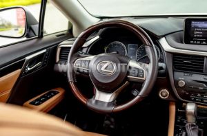 Xe Lexus RX 350 2019