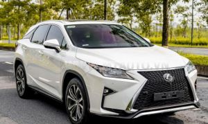 Xe Lexus RX 350 2019