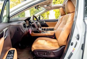 Xe Lexus RX 350 2019