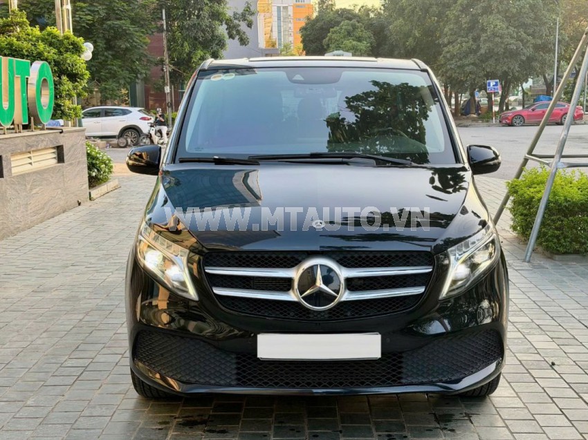 V250 Luxury 2019