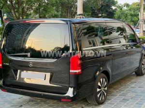 Xe Mercedes Benz V class V250 Luxury 2019