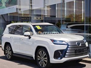 Xe Lexus LX 600 Urban 2024